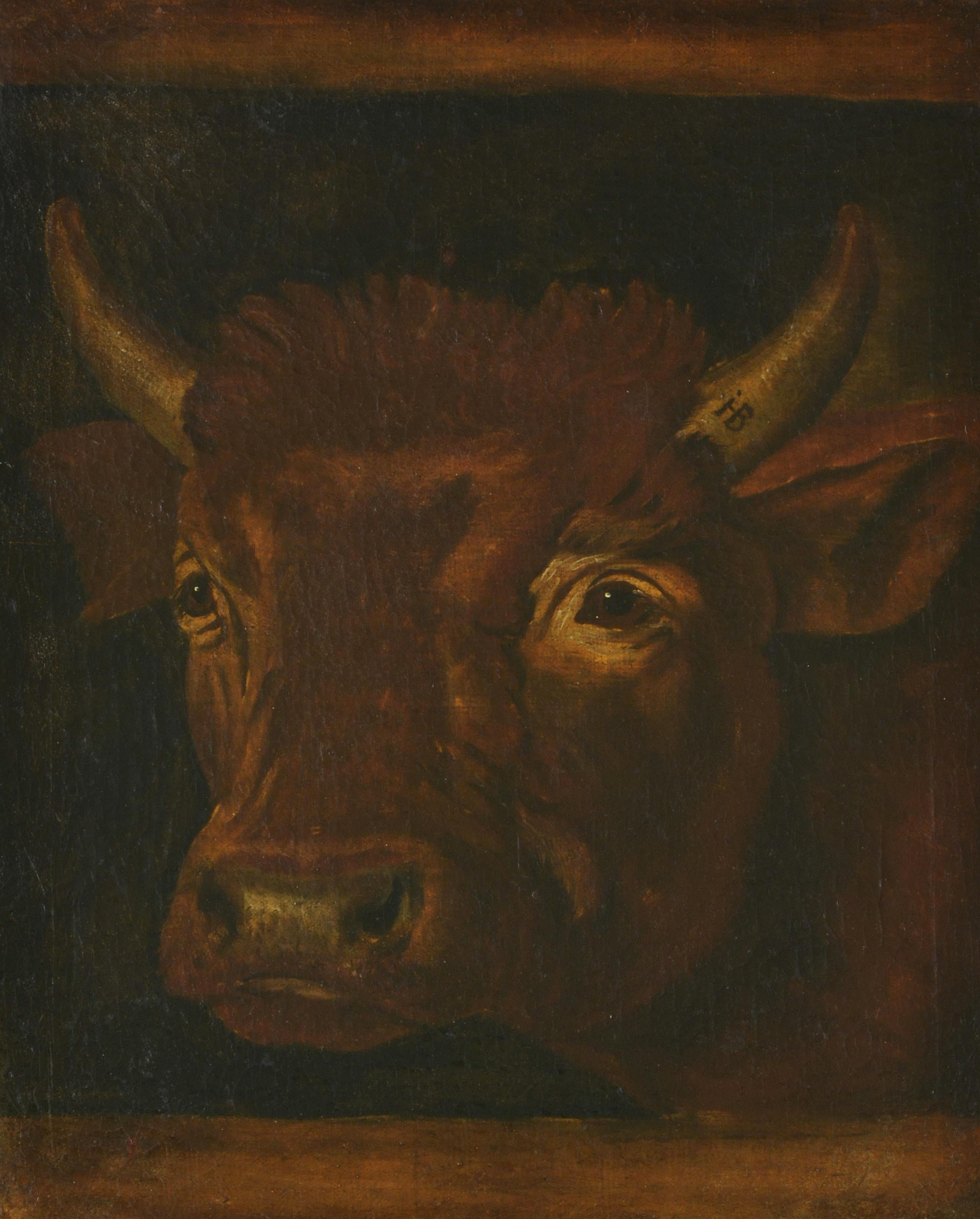Persone Dipinti (animali)