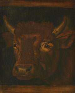 Antique Bull'head