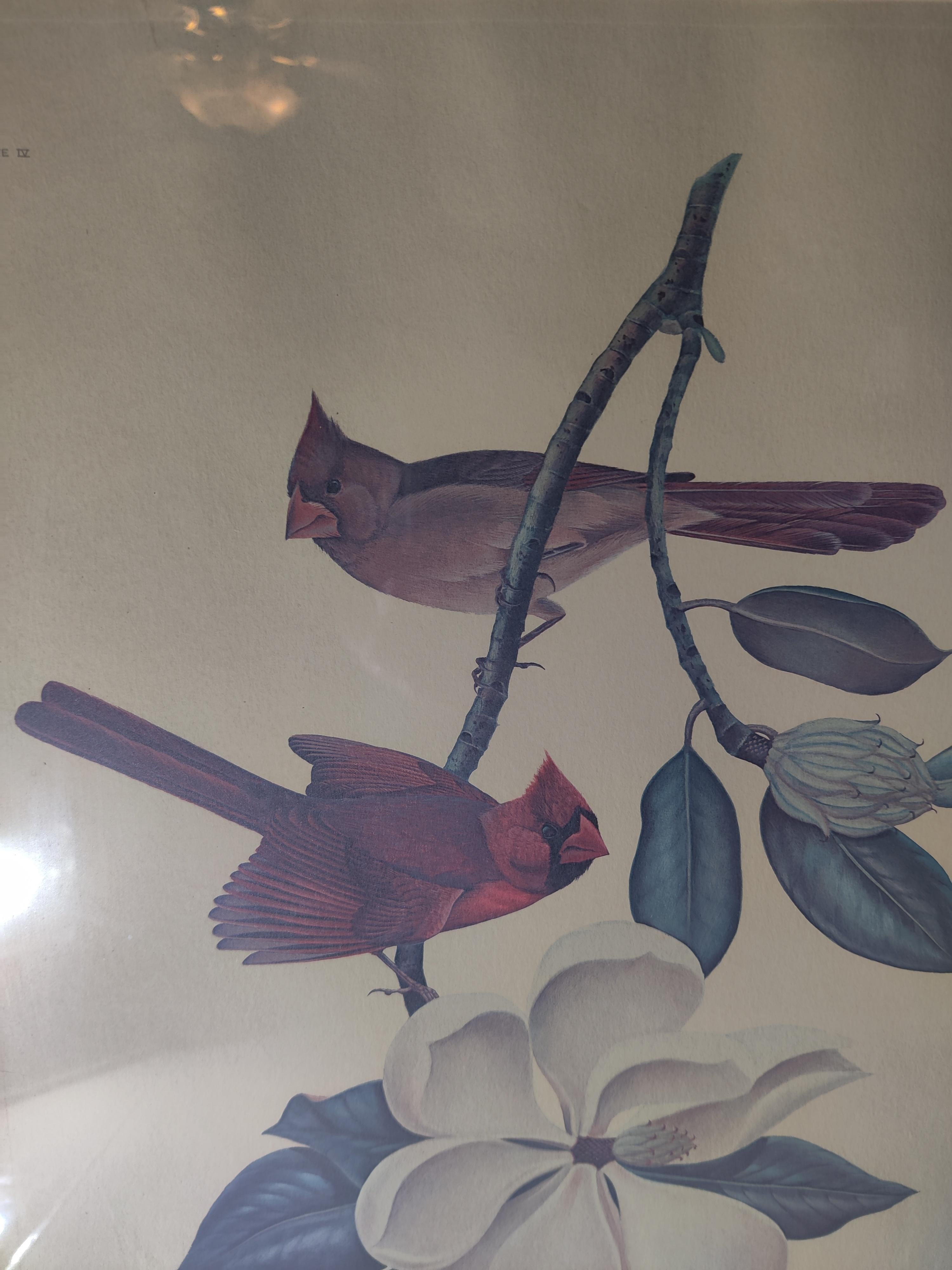 John A. Ruthven Firmado y Número de Cardenales en Bueno estado para la venta en Cincinnati, OH