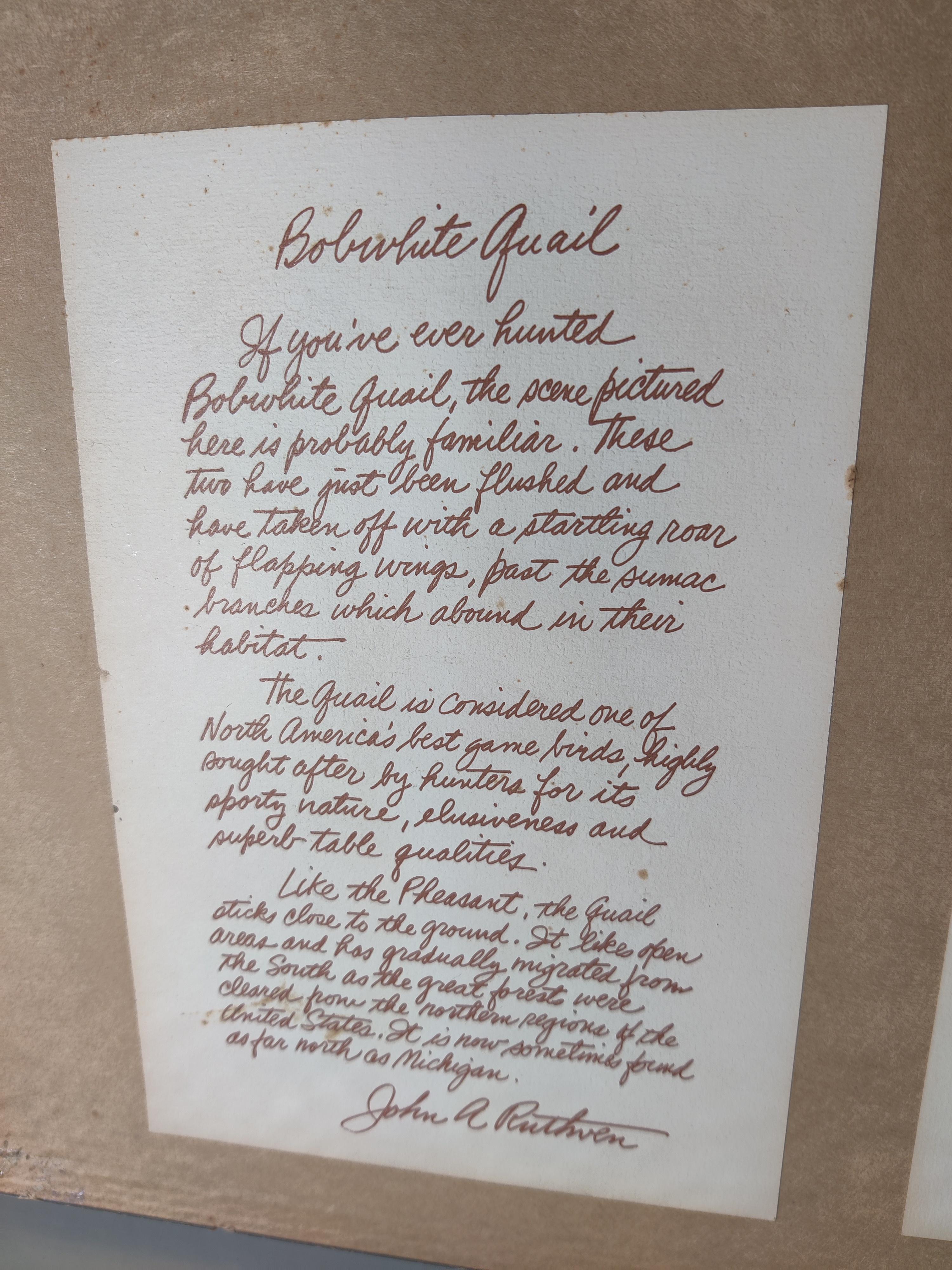 John A. Ruthven Firmado y Número de Cardenales en venta 3