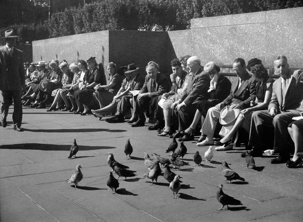 John Albok Portrait Photograph - Central Park (people sitting with pigeons)