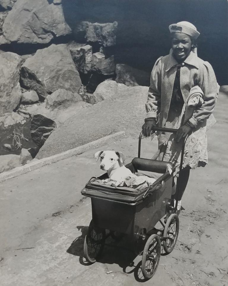 Harlem (Mädchen mit Hund im Babywagen) von John Albok, 1934