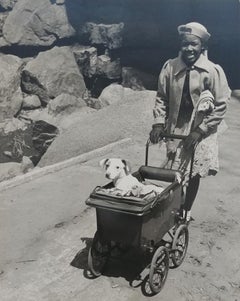Harlem (Girl with Dog in Baby Carriage)