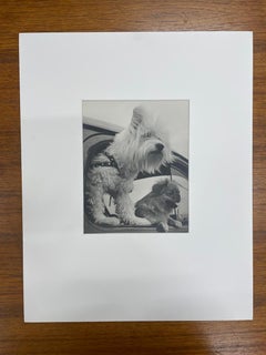 Joy Riders by John Albok, 1938, Silver Gelatin Print, Photography