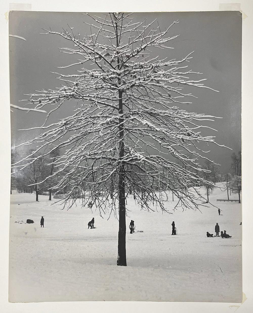 Untitled - Winter in Central Park (children in snow) - Vintage Print, New York - Modern Photograph by John Albok