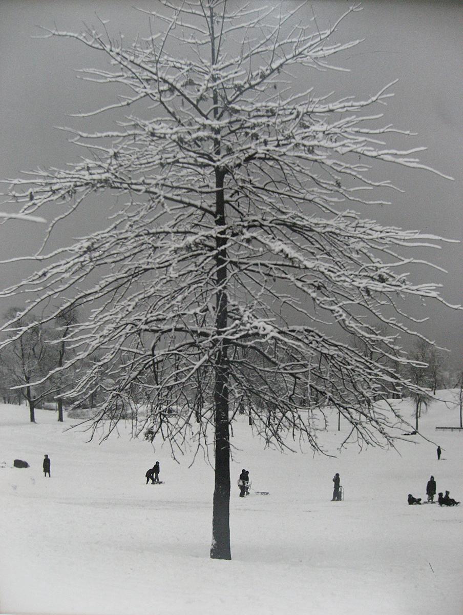 John Albok Figurative Photograph - Untitled - Winter in Central Park (children in snow) - Vintage Print, New York