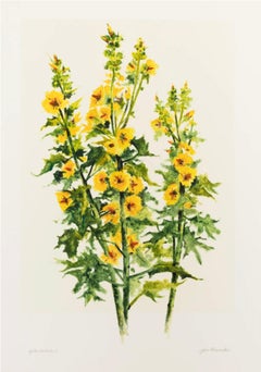 Yellow Hollyhocks
