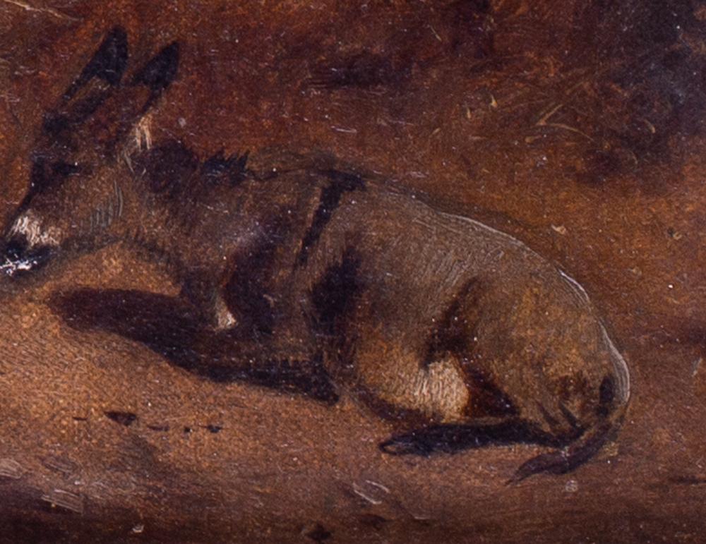 famous trick donkeys