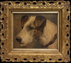 19. Jahrhundert Portrait Weißer und schwarzer Terrier Hundekopf Britisches Ölgemälde