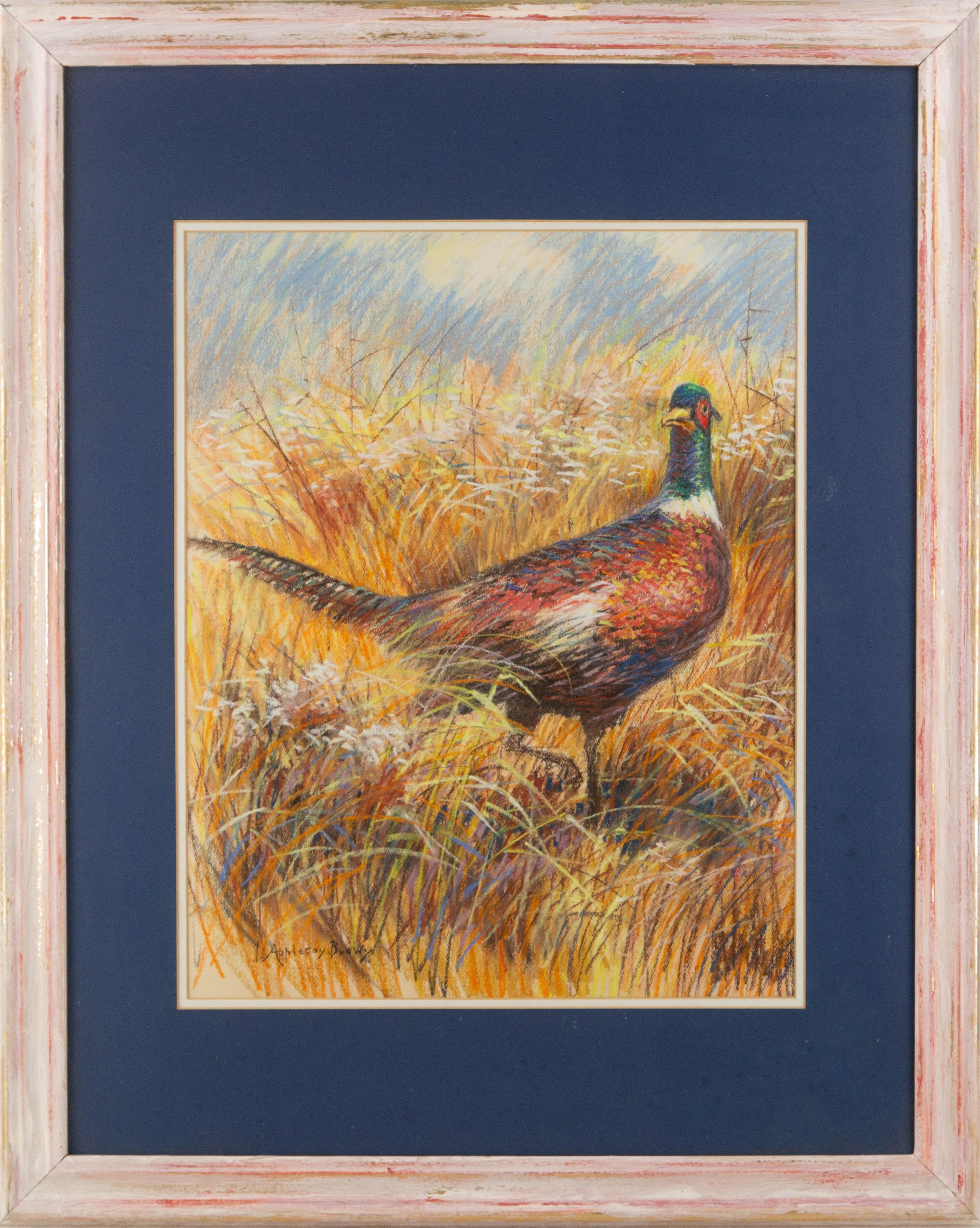 Animal Paintings