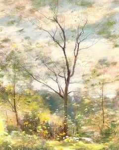 Chemin à travers les arbres de printemps