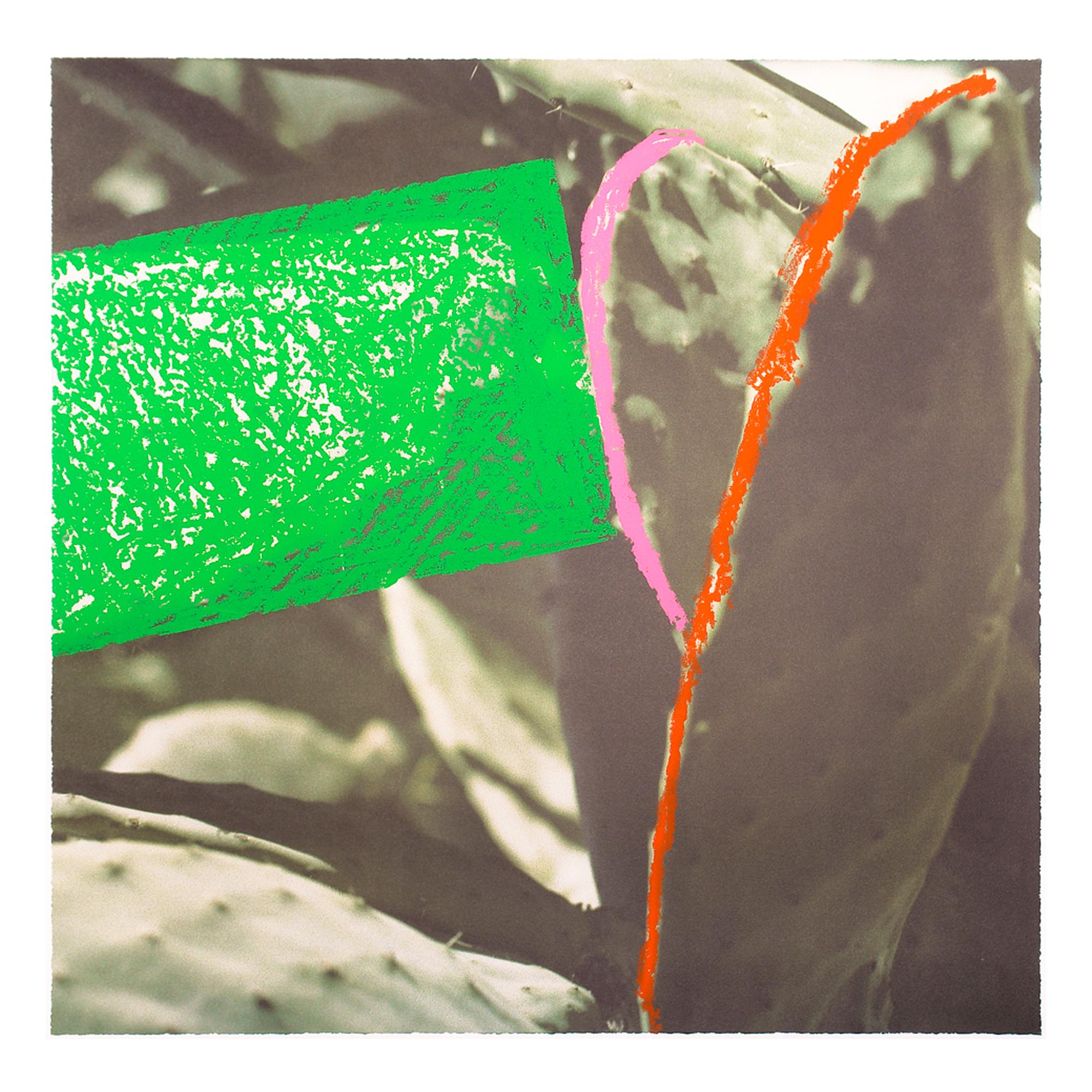 John Baldessari Abstract Print - Cactus, from "Third Street, Santa Monica", Contemporary Art, Concept Art