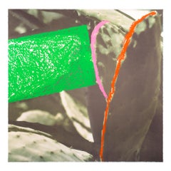 Cactus, from "Third Street, Santa Monica", Contemporary Art, Concept Art