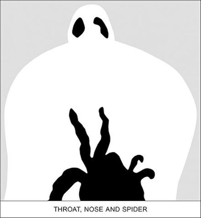 SEDIMENT: THROAT, NOSE AND SPIDER - Print by John Baldessari