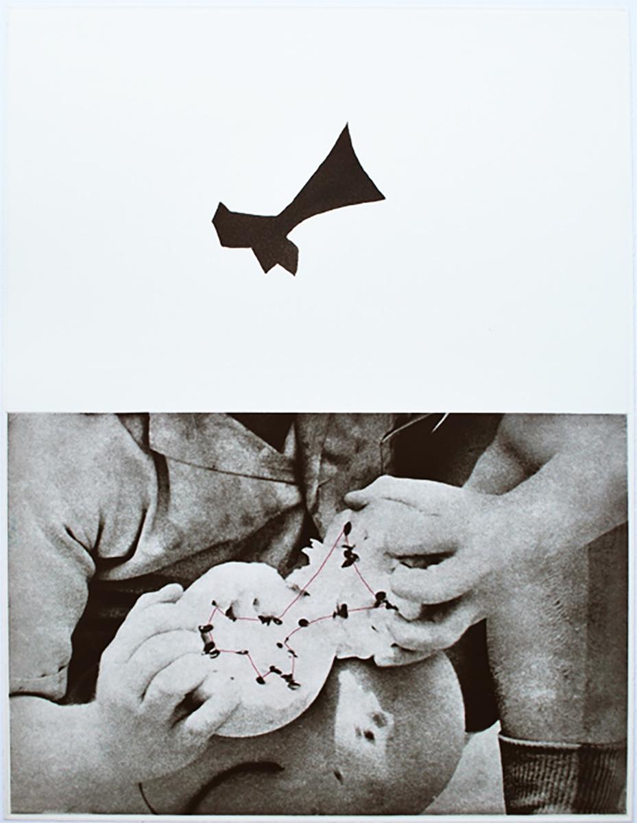 Seeds - Print by John Baldessari