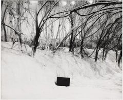 Due serie (una con panca)