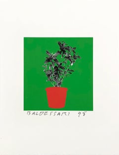 Ohne Titel, von 8 Pflanzen x 6 = 48, Satz von 2 Unikat-Siebdrucken, signiert, 1998