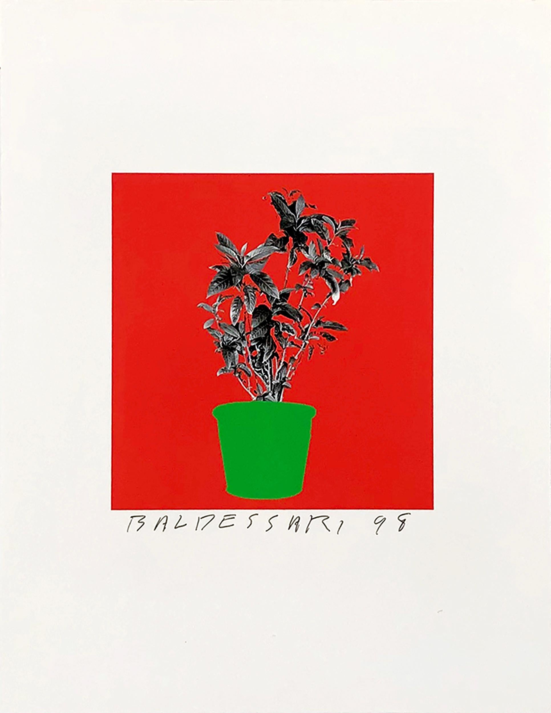 UNTITLED (FROM 8 PLANTS X 6 = 48) - Contemporary Print by John Baldessari