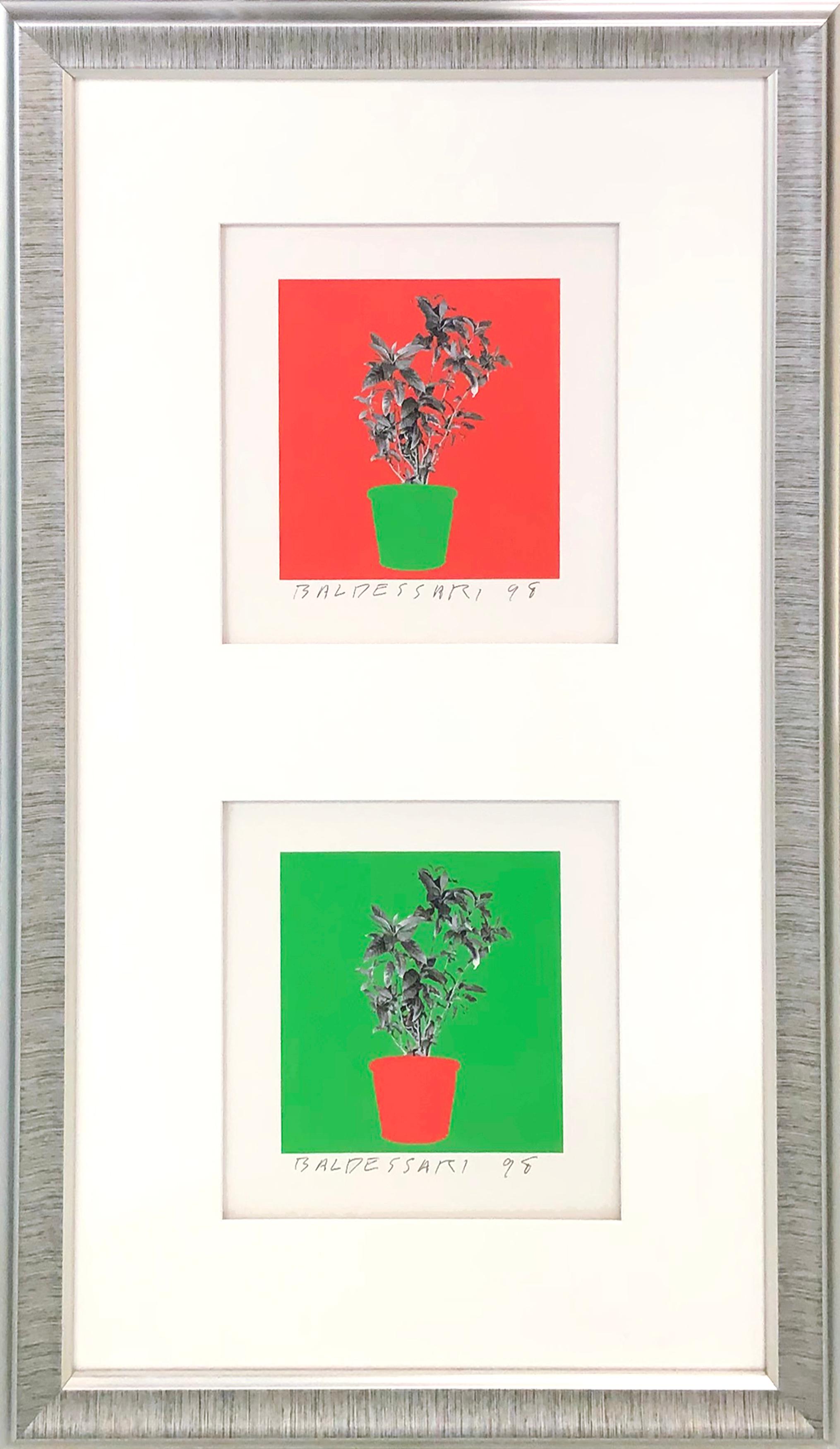 John Baldessari Still-Life Print - UNTITLED (FROM 8 PLANTS X 6 = 48)