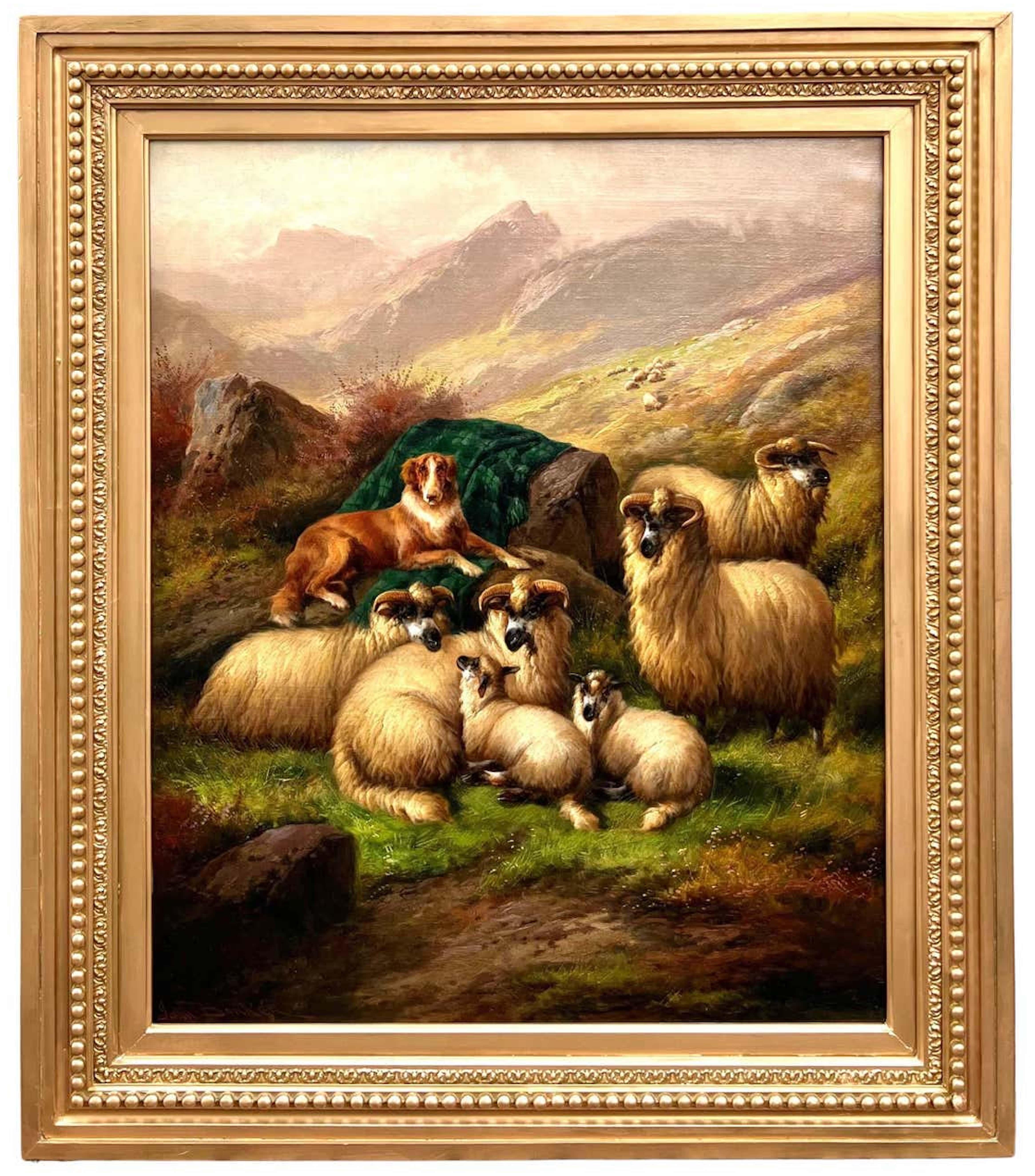John Barker Animal Painting - Highland Sheep, Scotland