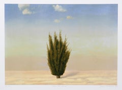 Cedro, Israel - Litografía de John Beerman