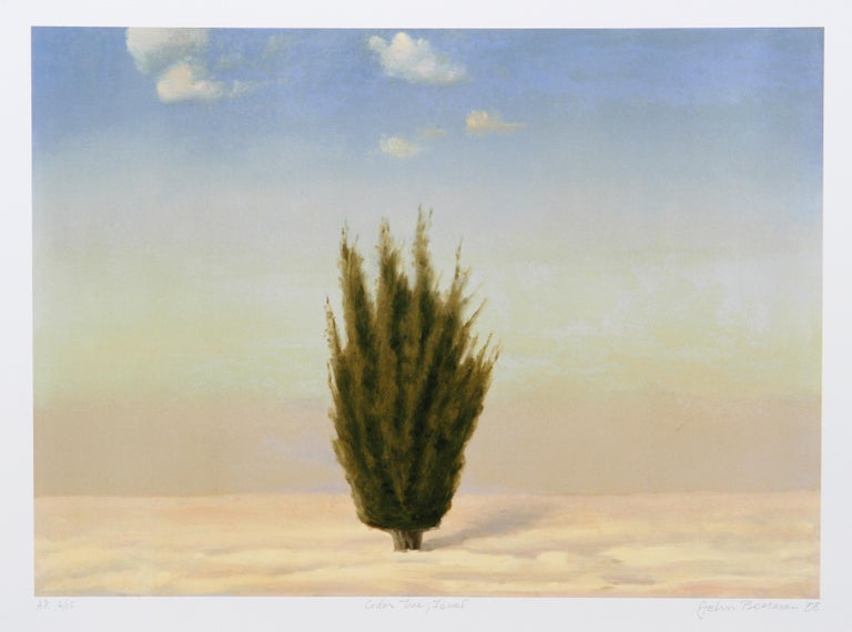 John Beerman - Cedar Tree, Israel For Sale at 1stDibs