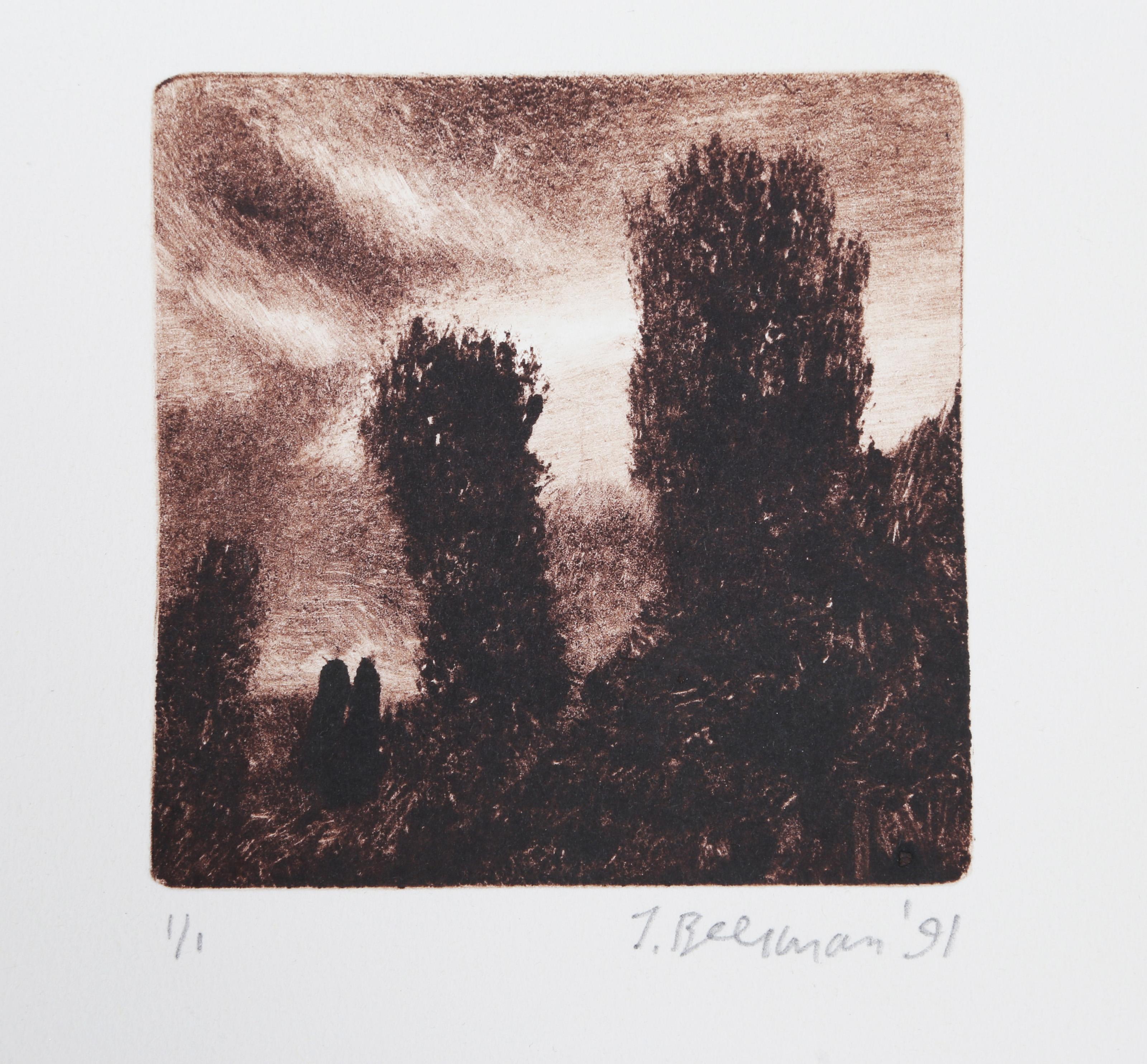 John Beerman, American (1958 - ) - Hill and Prarie, Medium:  Monotype, signed and numbered in pencil, Edition:  1/1, Image Size:  3.5 x 3.5 inches, Size:  11 x 8.5 in. (27.94 x 21.59 cm), Printer:  Syliva Roth, Publisher:  Hudson River Editions,