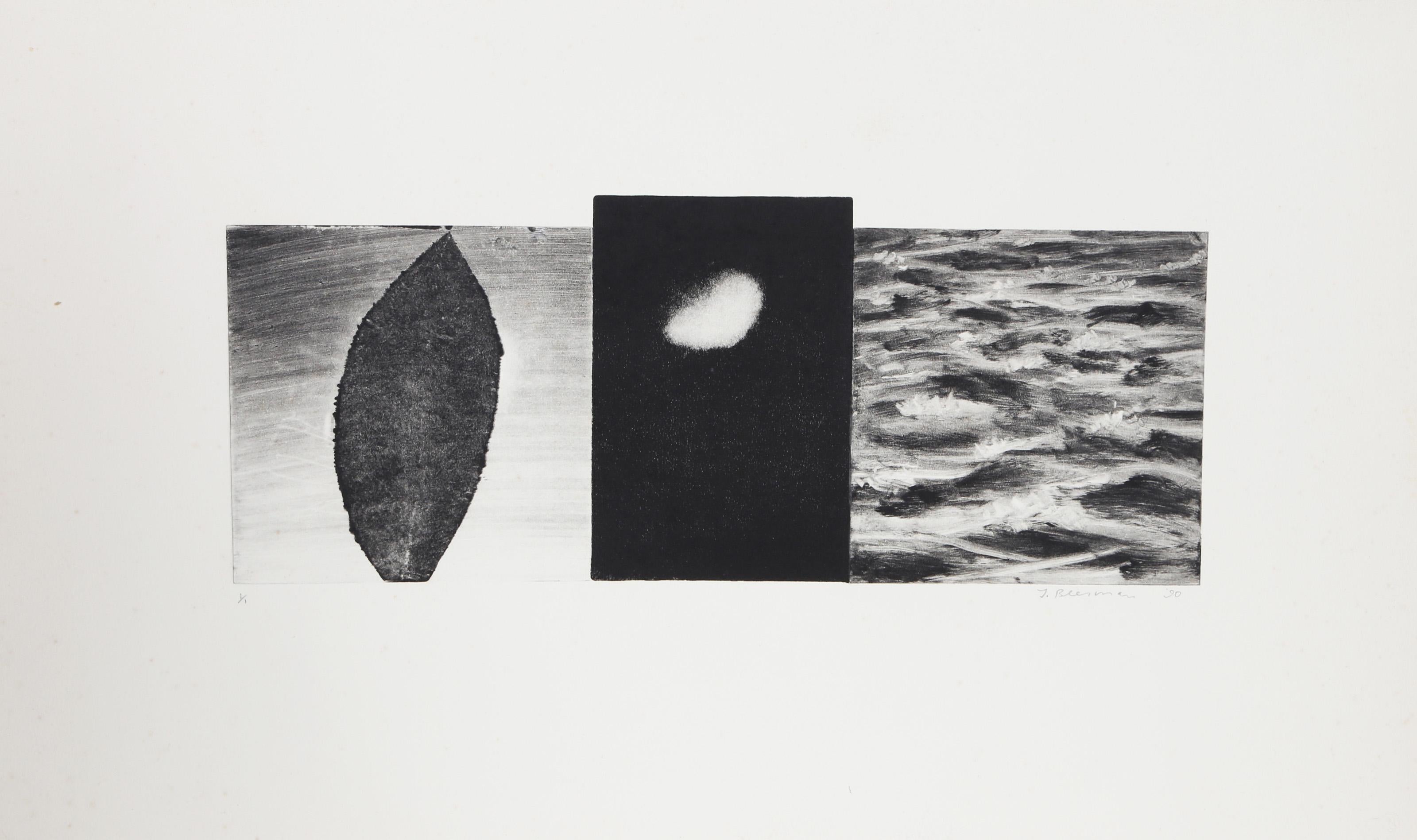John Beerman, American (1958 - ) - Leaf, Moon, and Sea, Year:  1990, Medium:  Monotype, signed and numbered in pencil, Edition:  1/1, Image Size:  6 x 15 inches, Size:  13.5 x 22 in. (34.29 x 55.88 cm), Printer:  Sylvia Roth, Publisher:  Hudson