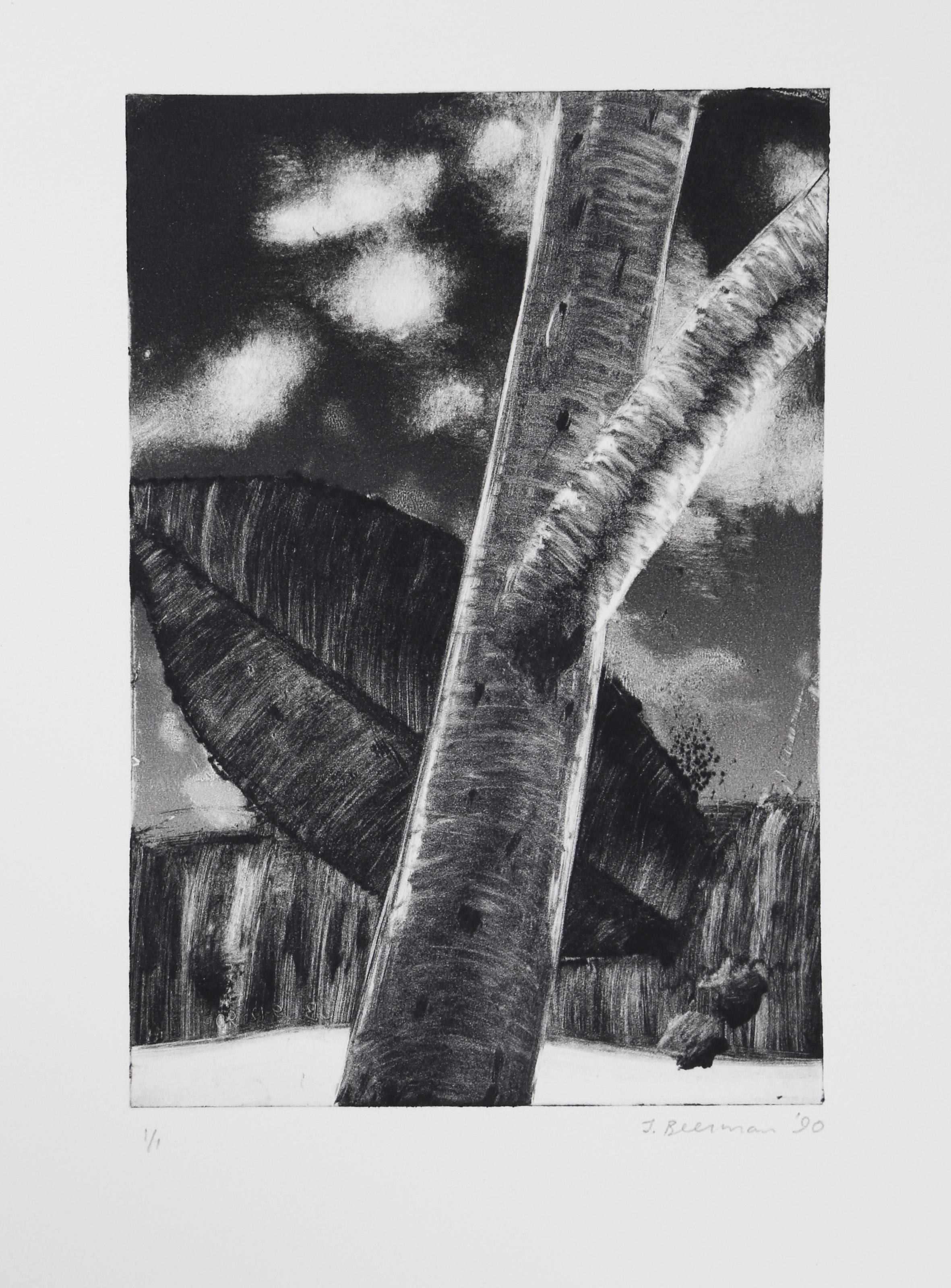 Tree, Leaf, and Sky, Impressionist Monotype by John Beerman