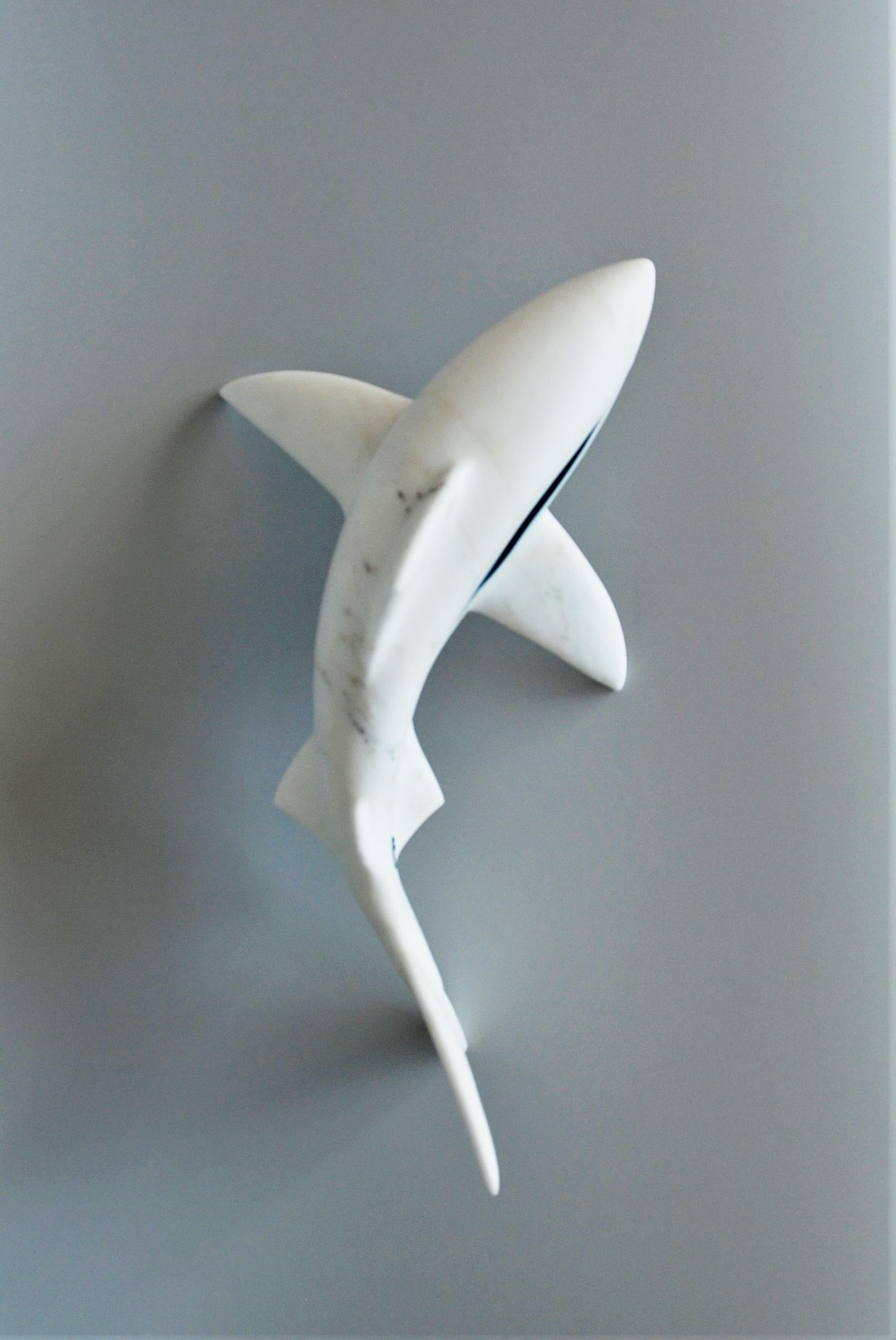 This is an original one of a kind Carrara Statuary Marble & Turquoise Zipper shark sculpture. 

John Bizas combines traditional white marble forms in a contemporary carving technique. The marble’s translucent qualities and durability combined with
