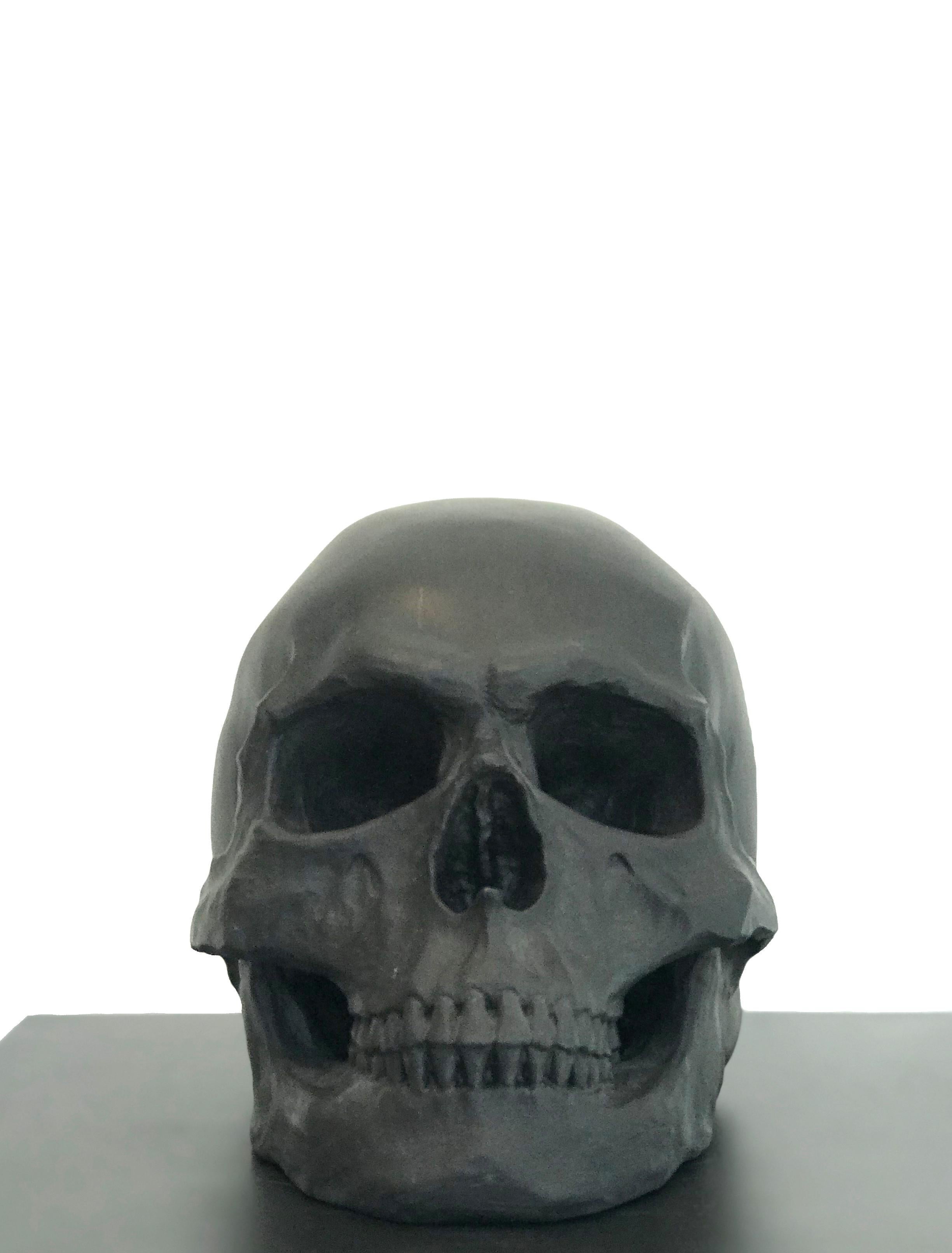 Human Skull I  For Sale 1
