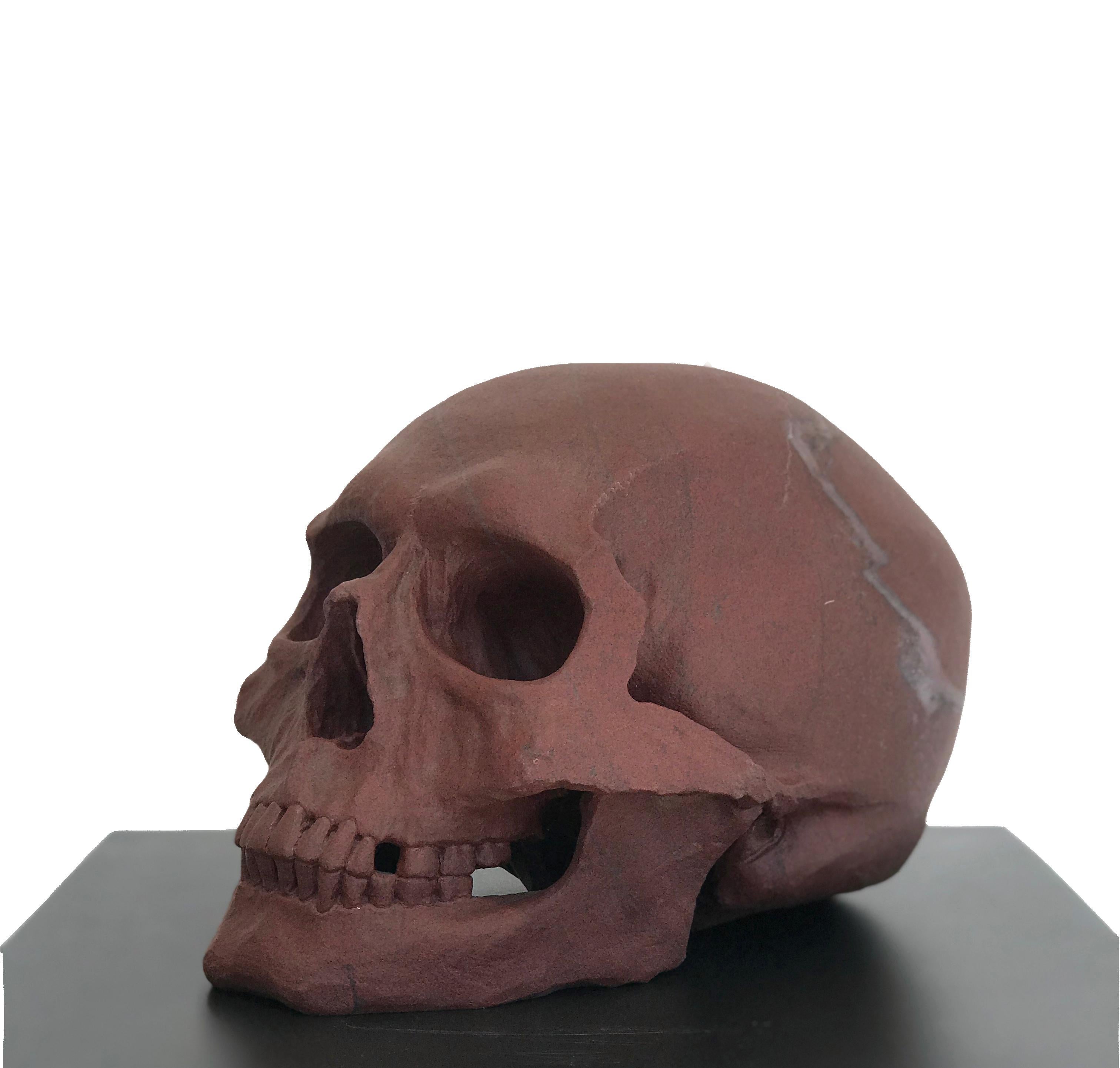 Human Skull II  - Sculpture by John Bizas