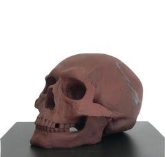 Human Skull II 