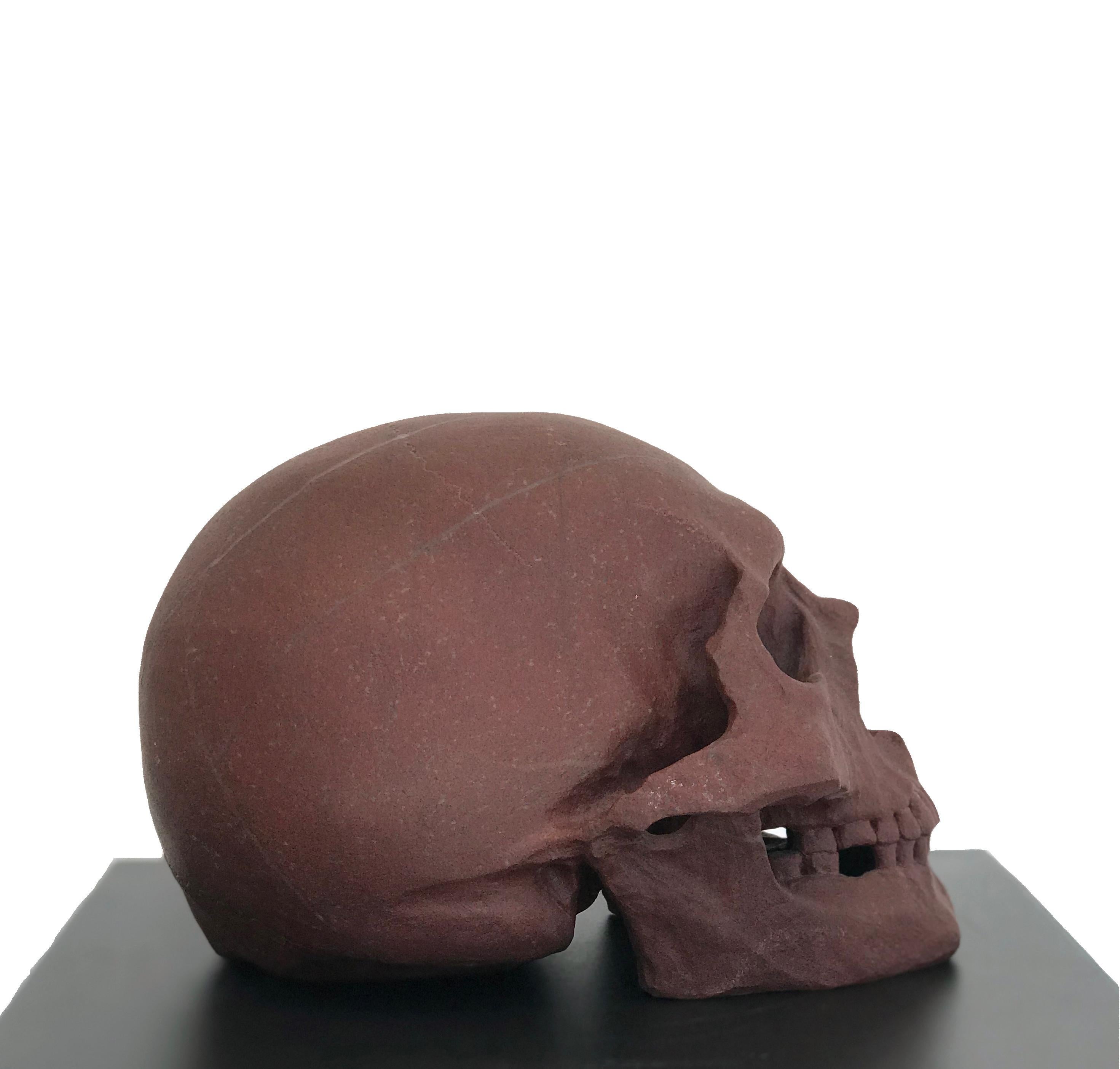 skull art sculpture