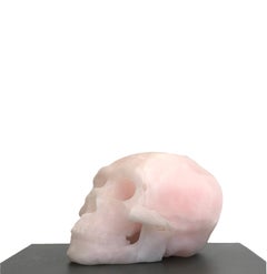 Human Skull III