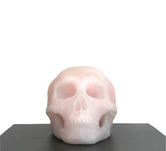 Human Skull III