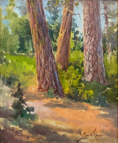 Ponderosa, pino blanco y pino azucarero (estudio de árboles), c. 1915