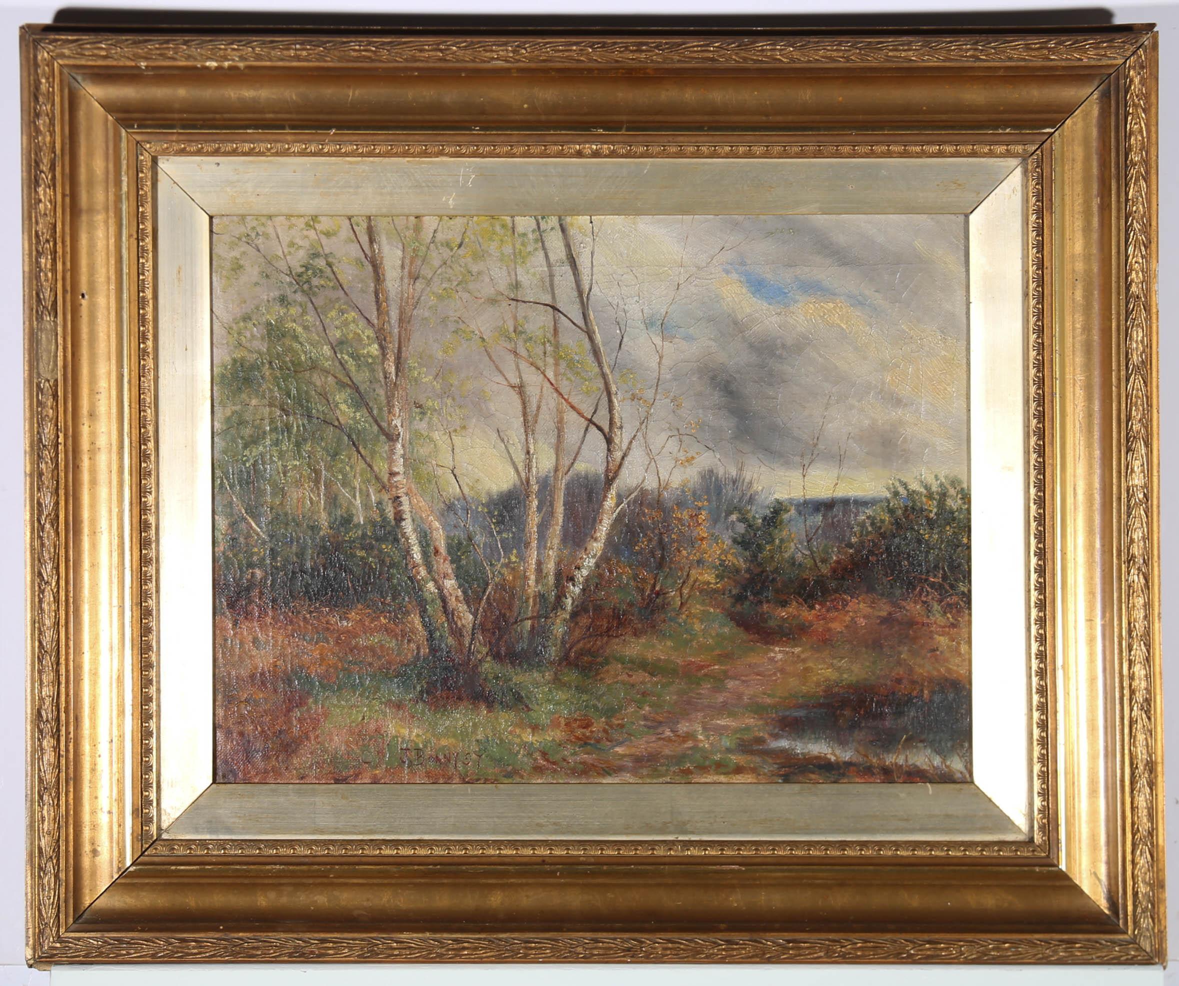 John Bonny (1874-1948) - Olio del 1897 incorniciato, Alberi di betulle lungo il sentiero 4