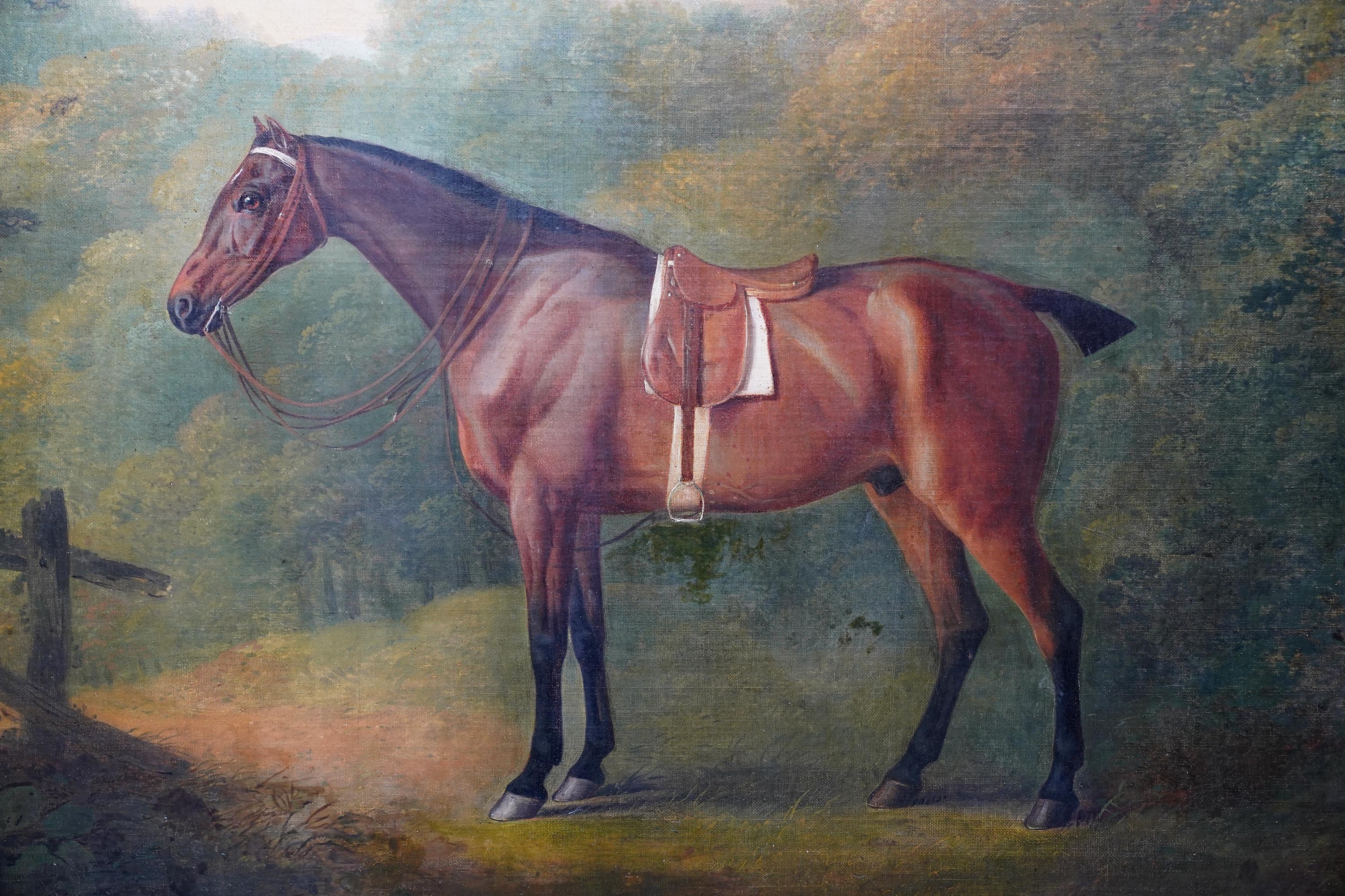 Caballo de caza ensillado en un paisaje - pintura al óleo de arte equino del Viejo Maestro británico - Landscape Painting Negro de John Boultbee