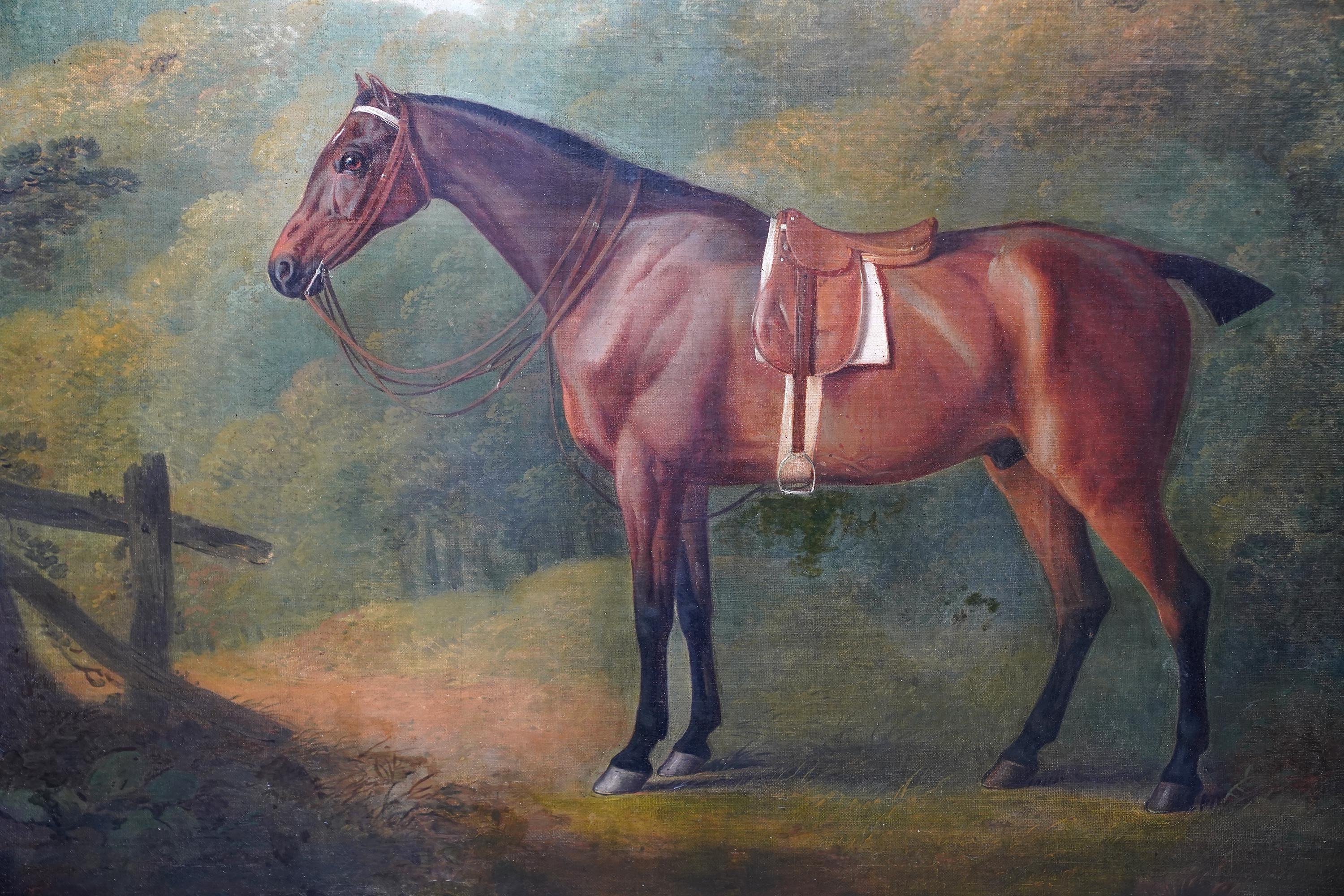 Caballo de caza ensillado en un paisaje - pintura al óleo de arte equino del Viejo Maestro británico en venta 2
