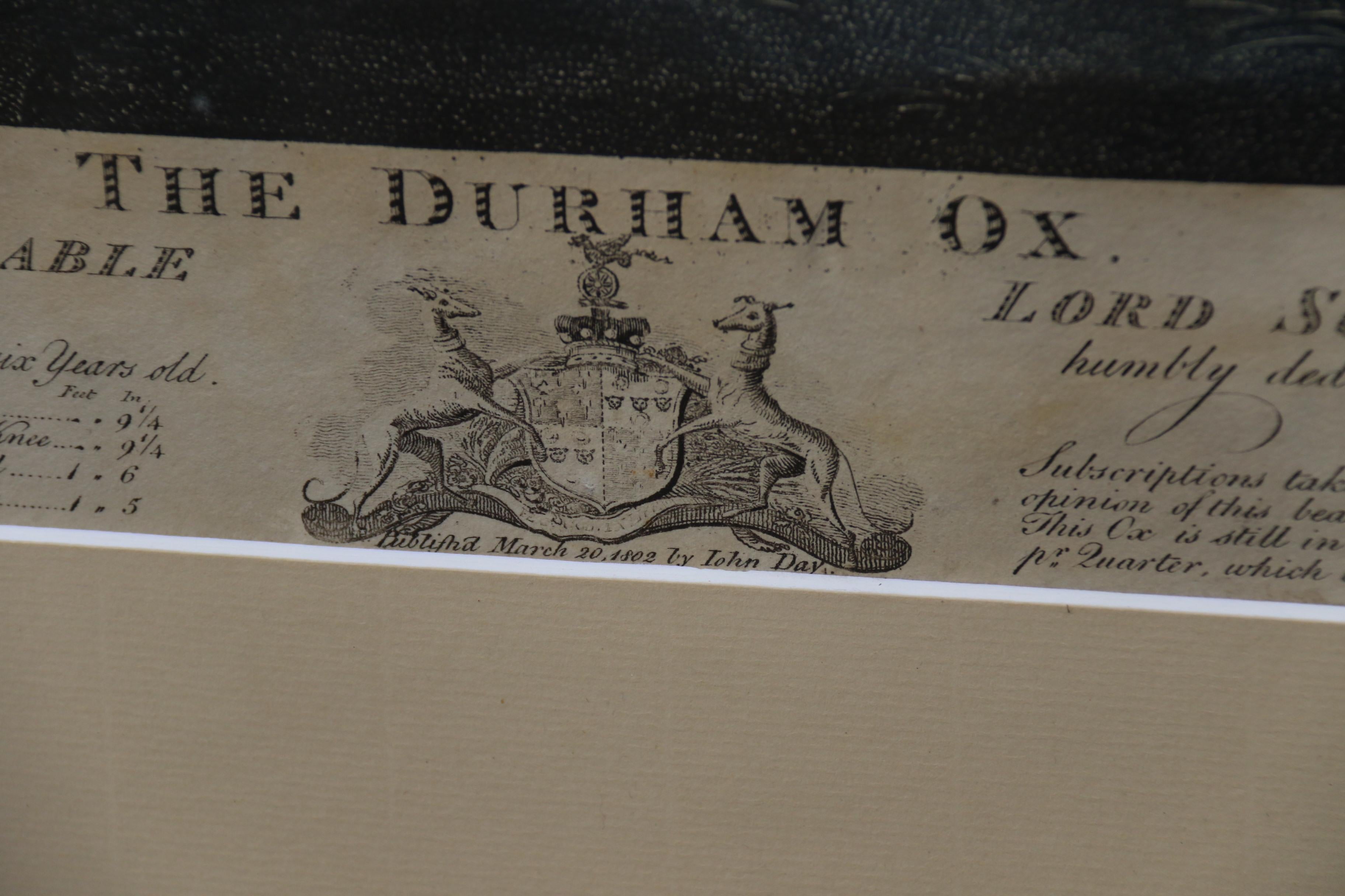 John Boultbee „Der Durham-Ox“, handkolorierte Gravur aus dem Jahr 1802, englisch  im Angebot 5