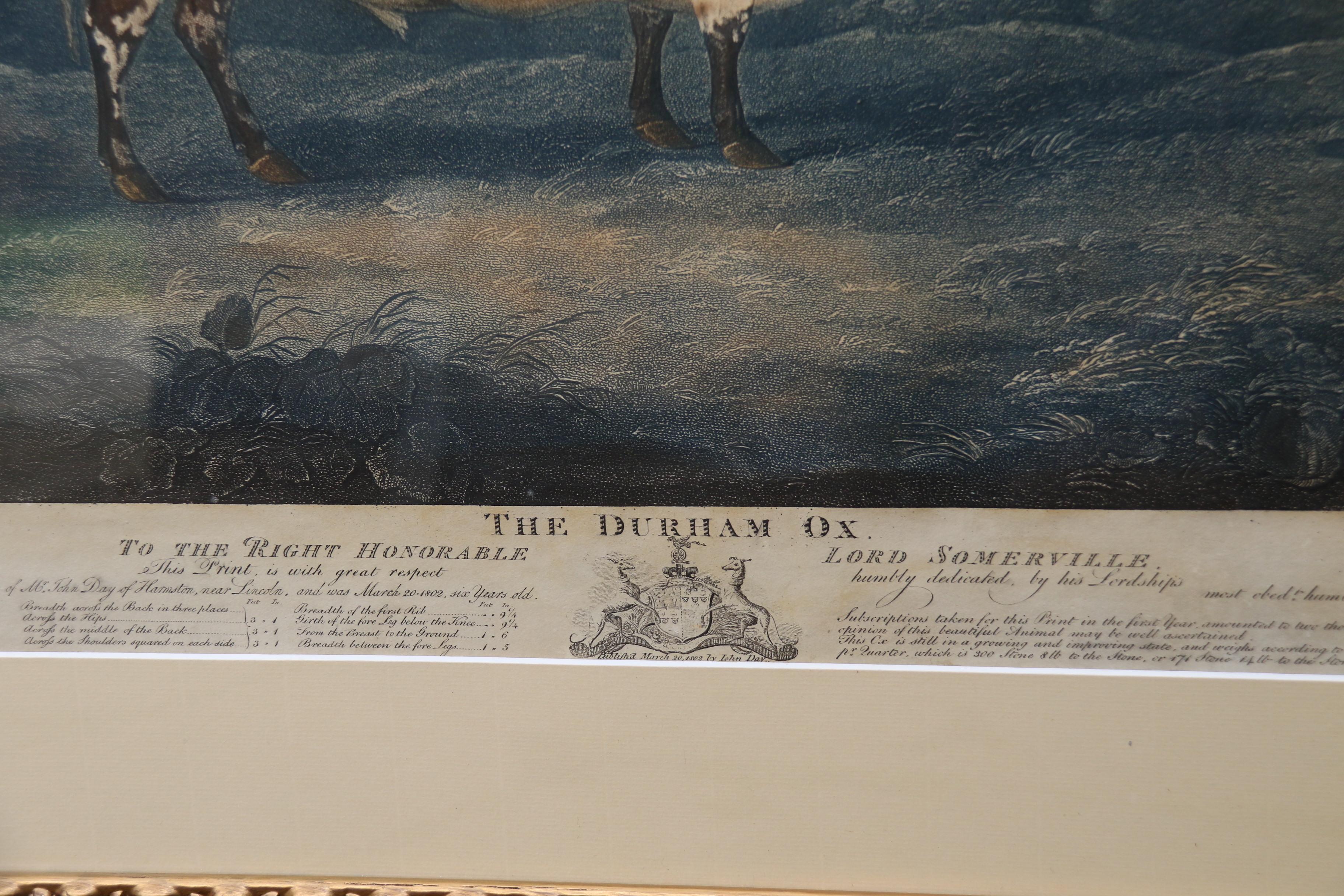 John Boultbee „Der Durham-Ox“, handkolorierte Gravur aus dem Jahr 1802, englisch  im Zustand „Gut“ im Angebot in Central England, GB