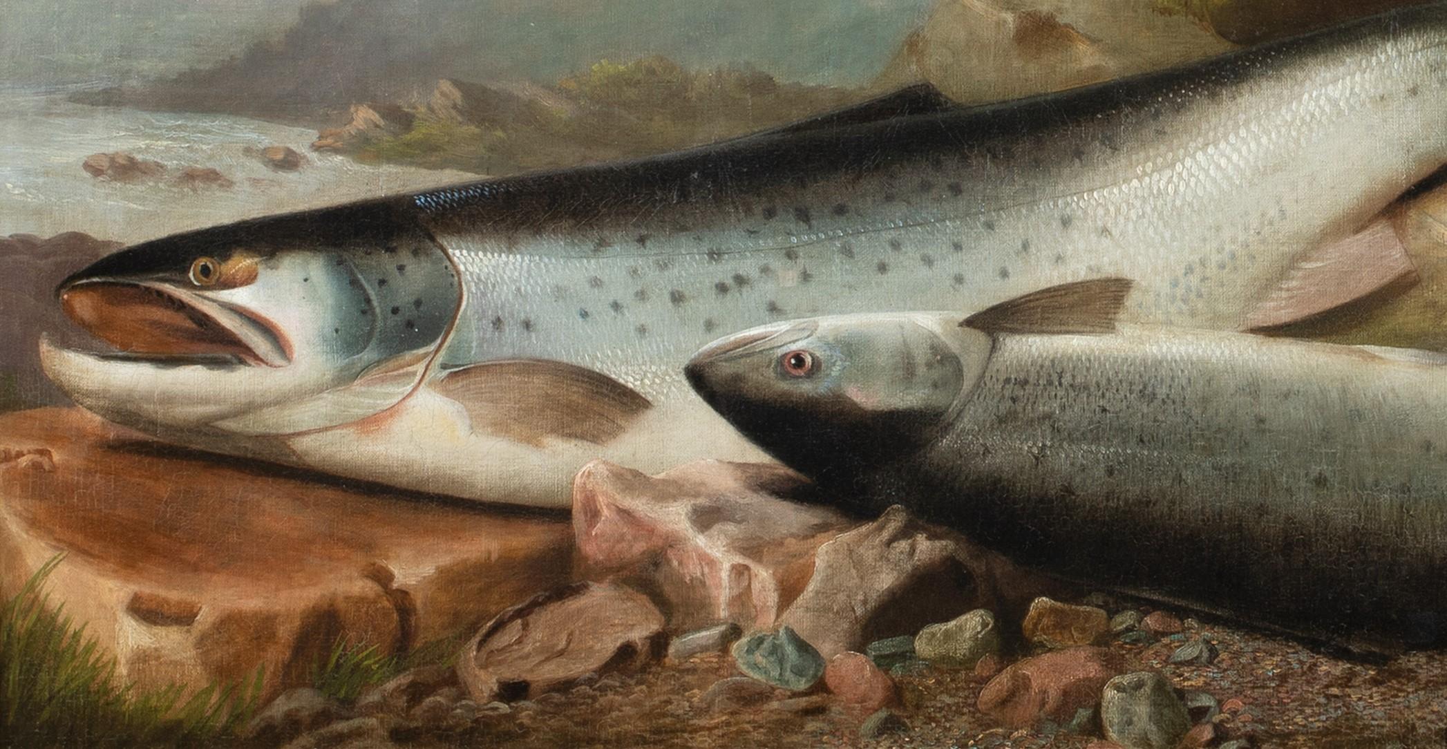painting of salmon