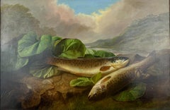 Brown Trout -Late 19th Century Scottish Still Life. Naturalist Oil Painting