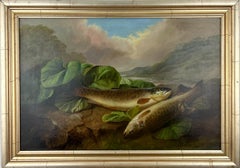 Brown Trout -Late 19th Century Scottish Still Life. Naturalist Oil Painting