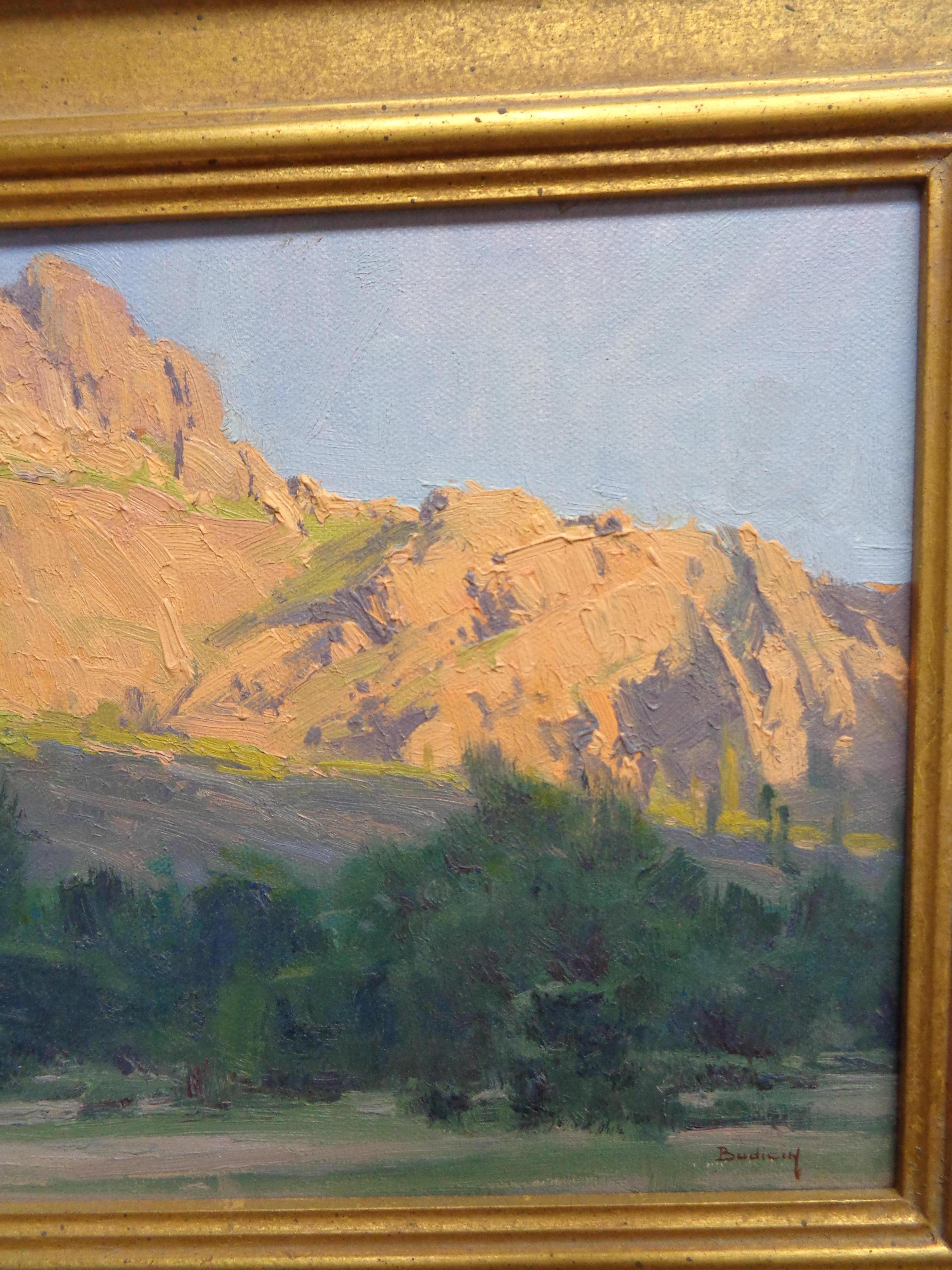 Kalifornische Landschaft, Ölgemälde von John Budicin Scottsdale Bulldog Canyon, Kalifornien im Angebot 3