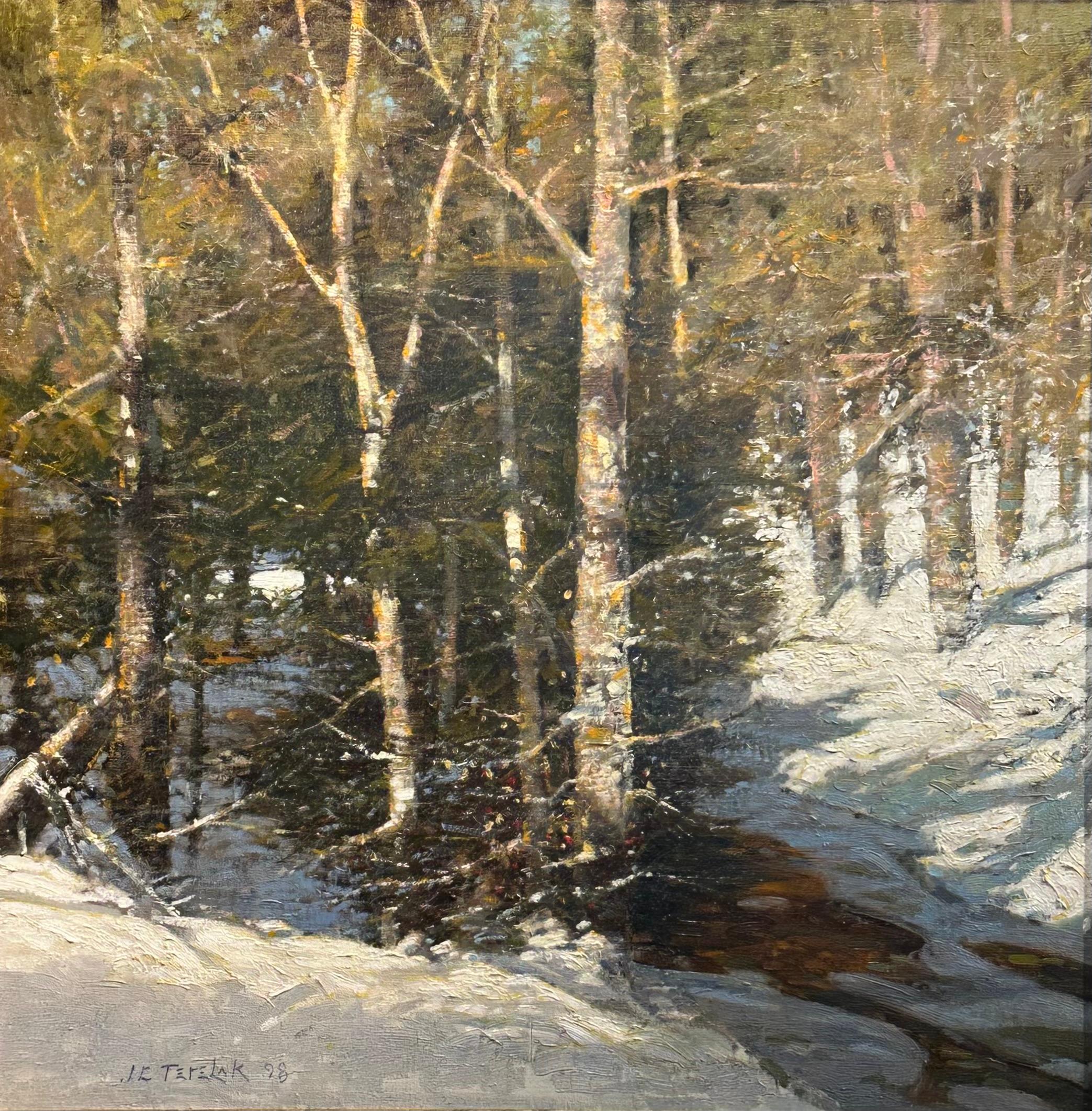 Winter-Birken – Painting von John C. Terelak