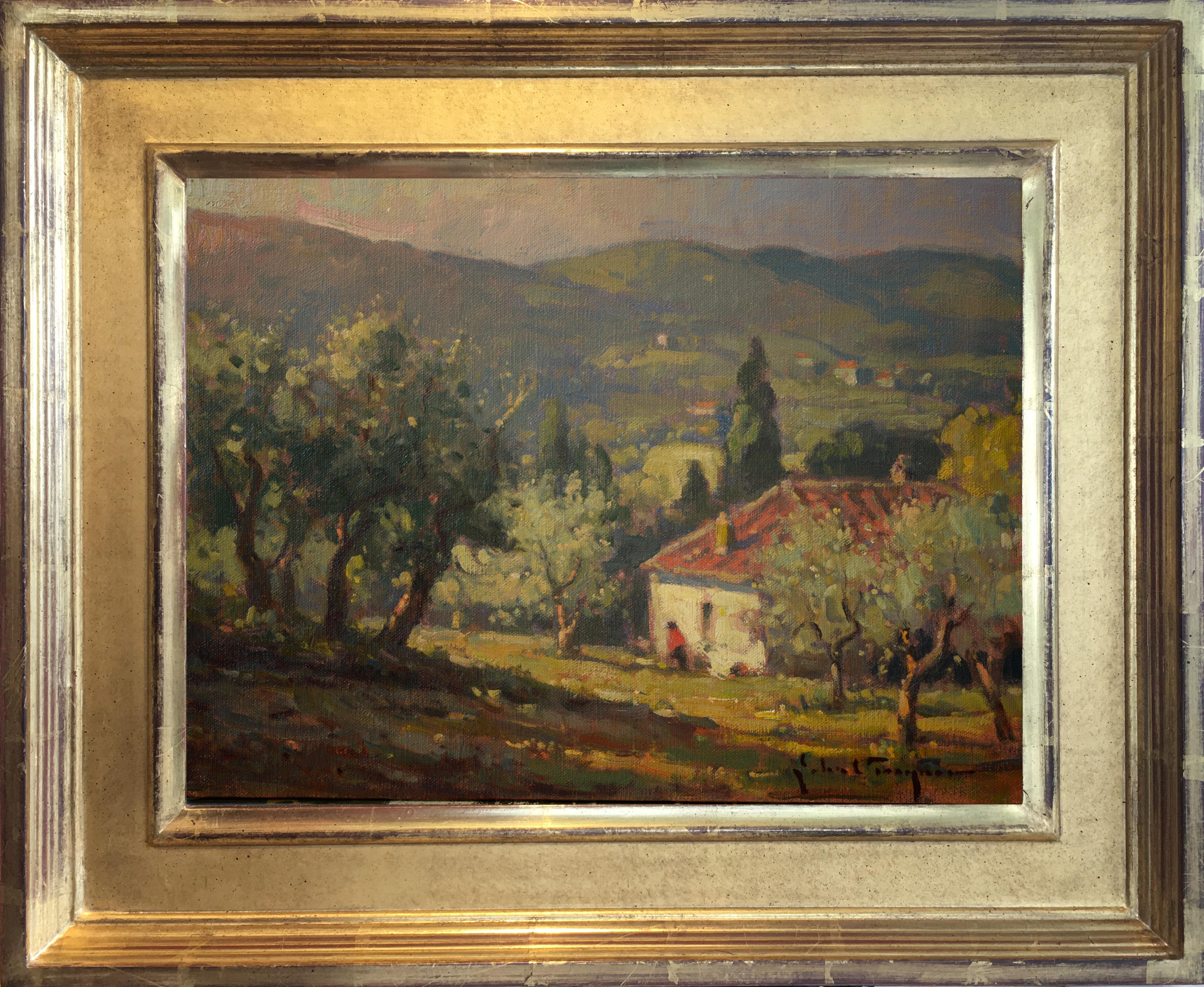 Olive Grove, Tuscany - Painting by John C. Traynor