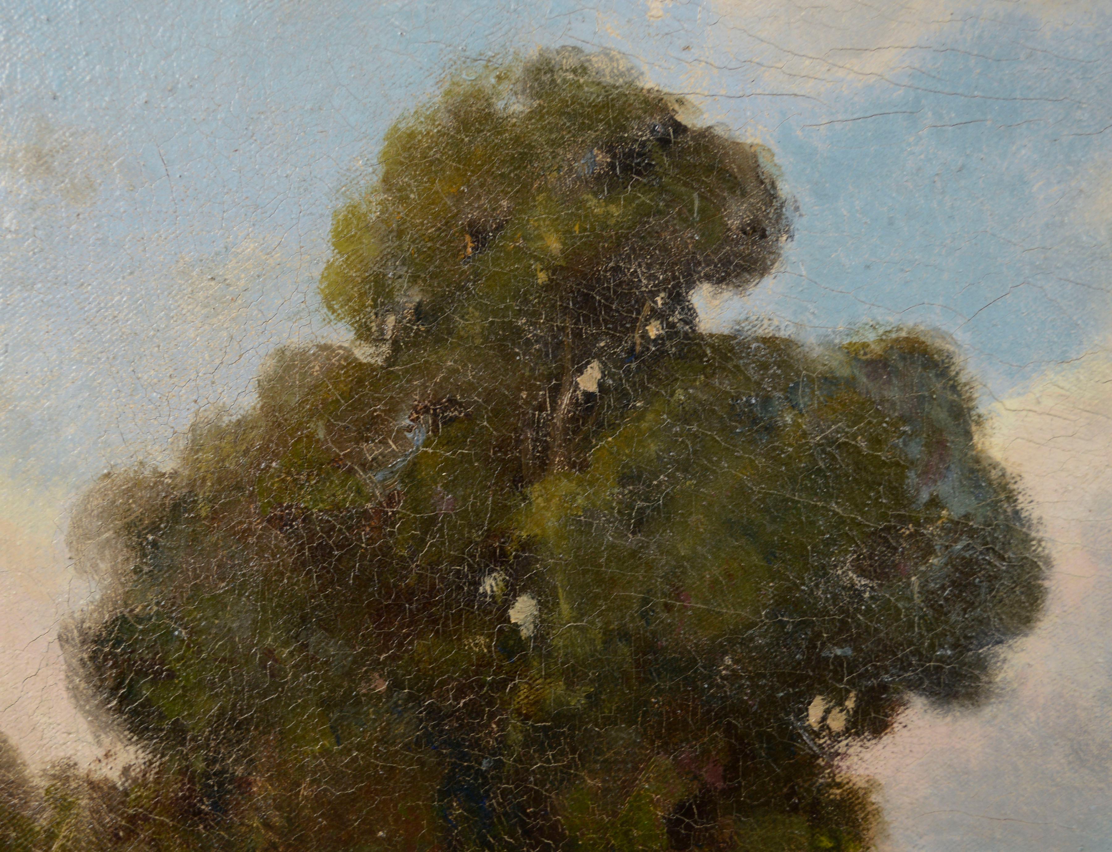 Veduta di fine Ottocento del monte Tamalpais Paesaggio John Perry 1870s 1