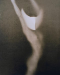 Untitled 20247 - lith silver gelatin print